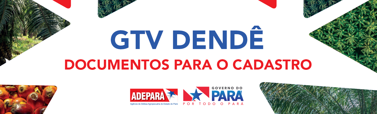 Guia de Trânsito Vegetal do Dendê 