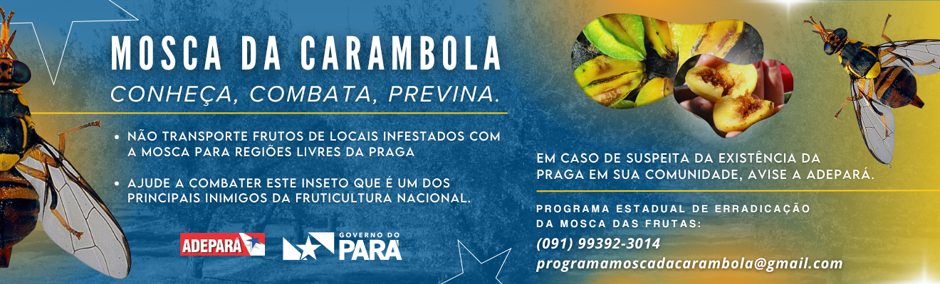 banner azul e amarelo com a frase: Mosca da Carambola : conheça, combata, previna.