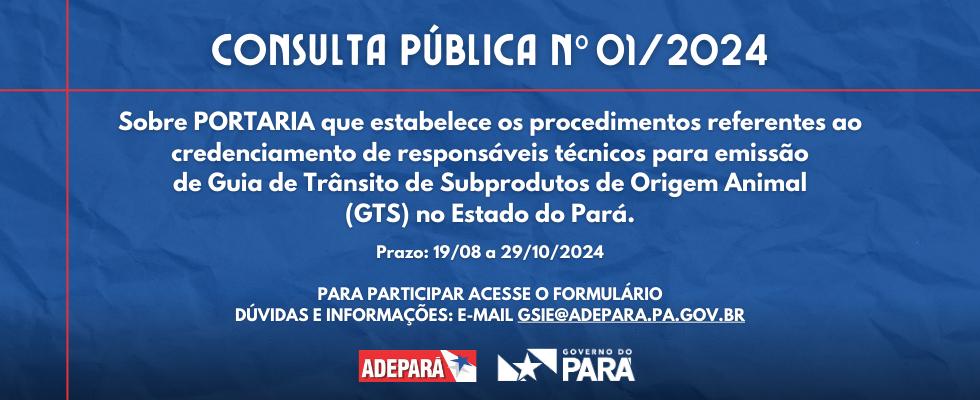 layout fundo azul com informações em letras brancas sobre a consulta pública