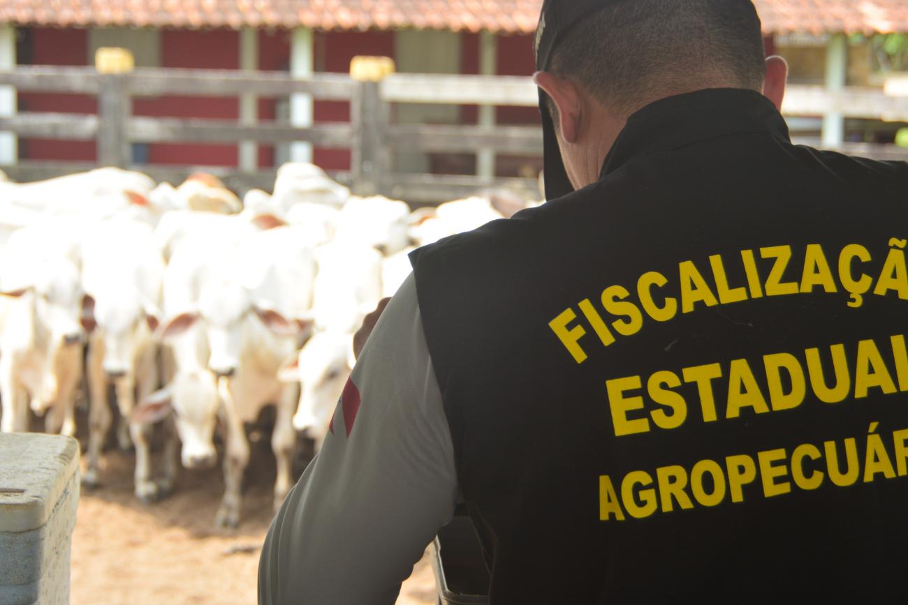 fiscalização agropecuária