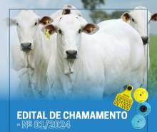 cartaz com imagem de rebanho nelore e faixa de rodapé em azul escrito Edital de Chamamento